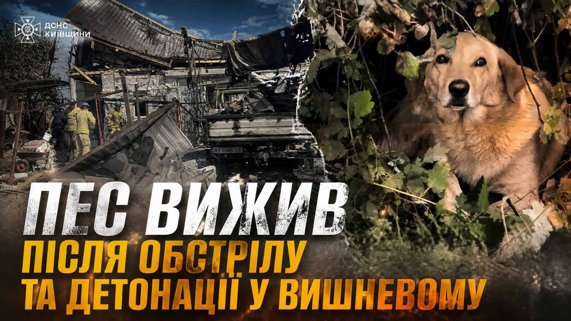 У Ржищеві загинув 17-річний пасажир мотоцикла Колаж: зруйнований обстрілом будинок у Вишневому та пес, який вижив після пожежі й вибуху