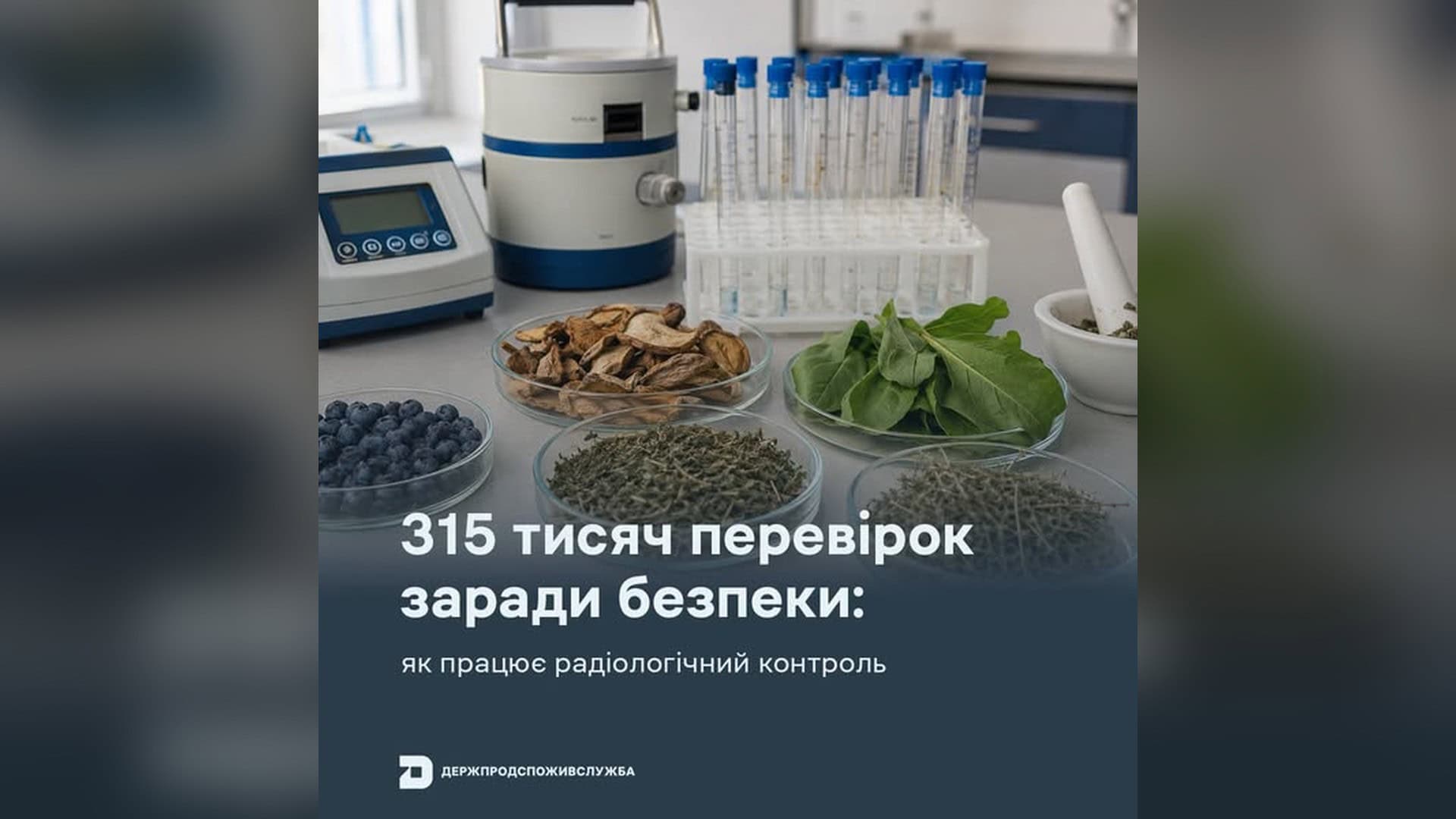 Лабораторне обладнання, пробірки та зразки грибів, чорниць і трав для радіологічного контролю продуктів
