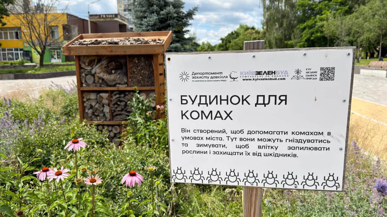 У зелених зонах Києва цього року з'явилося 12 нових будиночків для комах — у Дарницькому, Печерському, Подільському, Святошинському та Шевченківському
