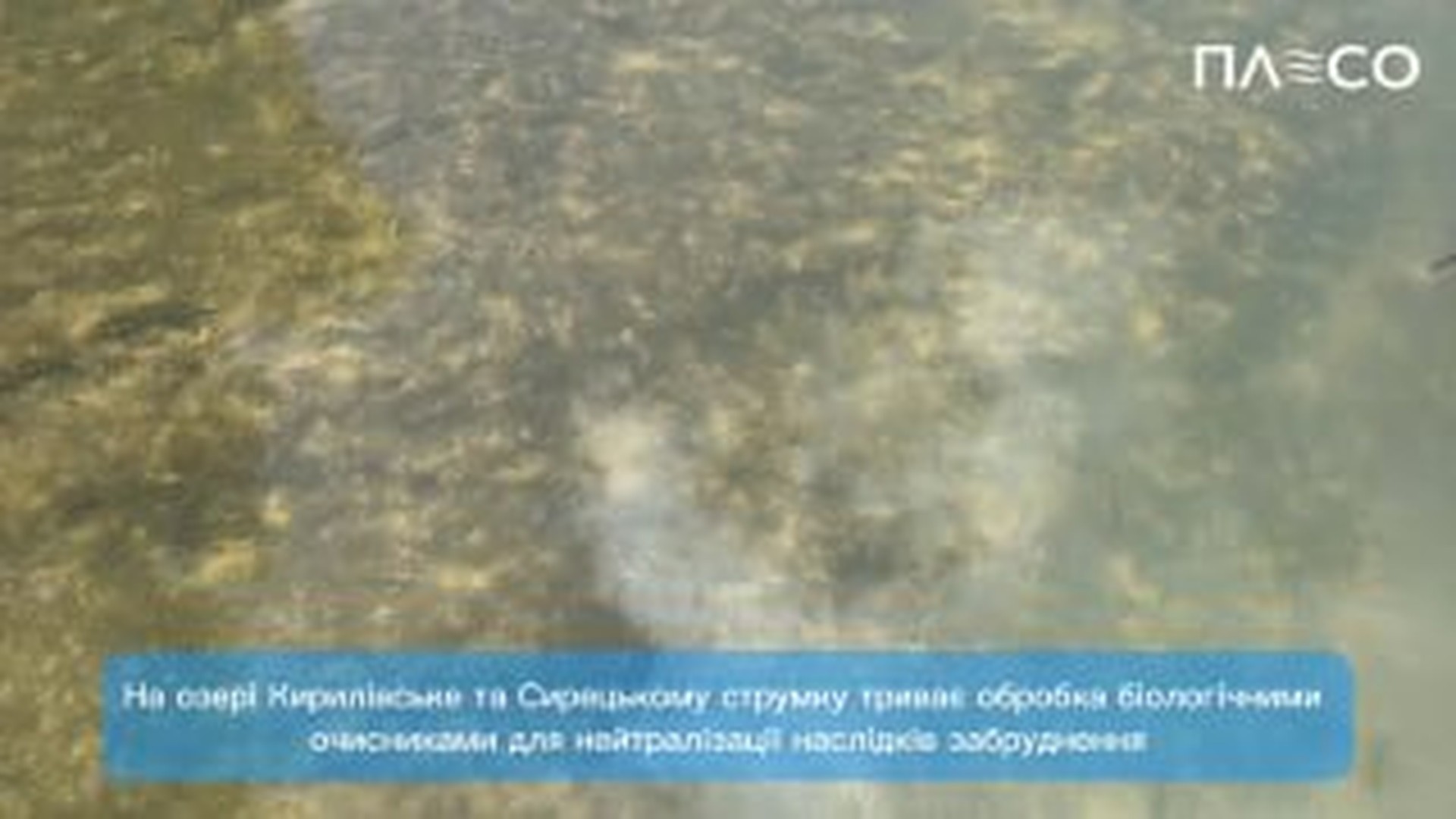 Фахівці КП «Плесо» вносять біологічний очисник TREVITAN у Сирецький струмок після атаки РФ 2 липня