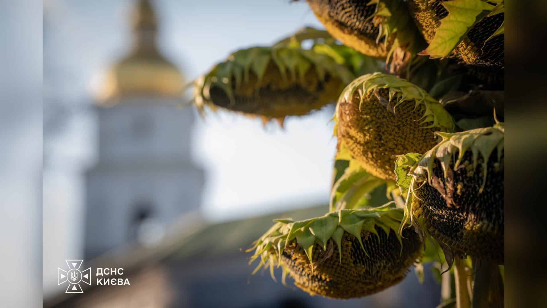 Вогнеборці київського гарнізону запалюють свічки біля меморіалу на мурах Михайлівського Золотоверхого монастиря у Києві