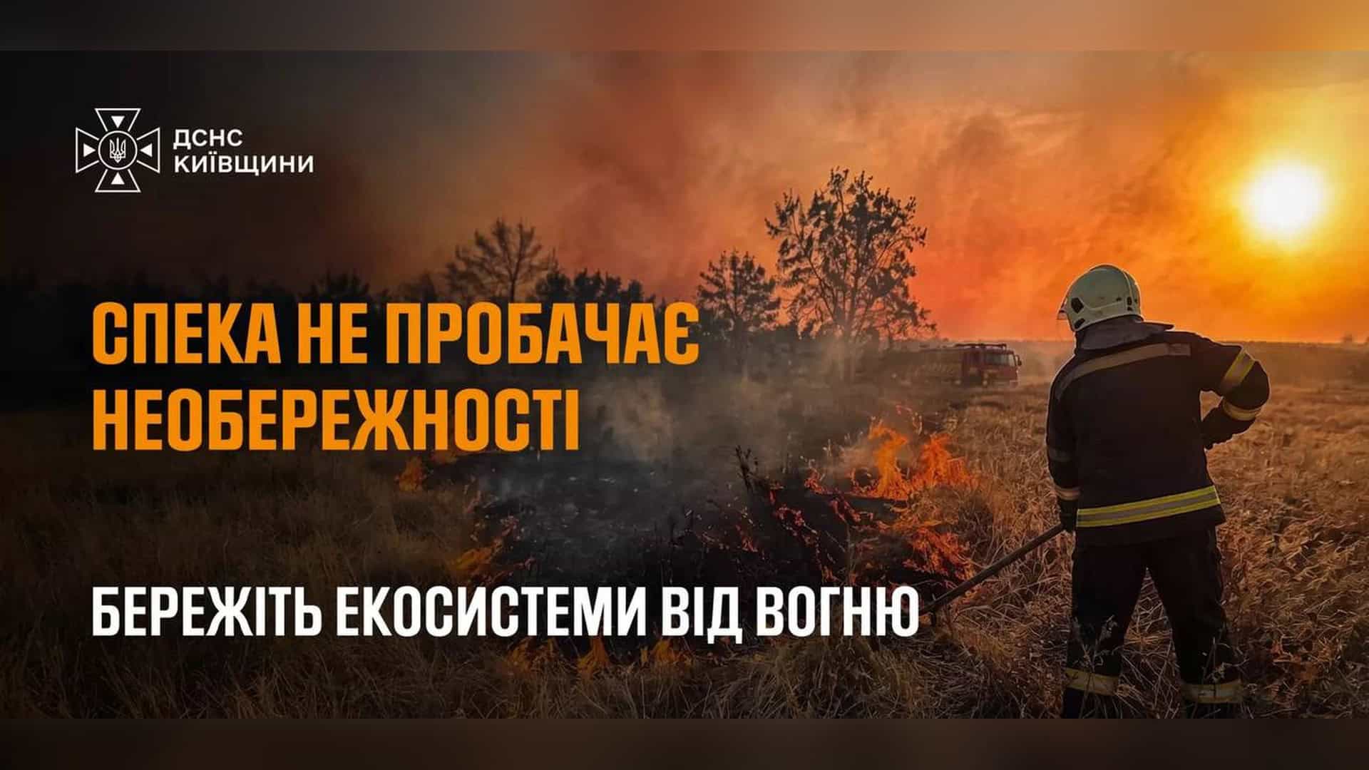 П'ятеро загинули в лобовому зіткненні на трасі Бориспіль–Дніпро біля Рогозова Пожежа в екосистемі Київщини — рятувальники ДСНС гасять загоряння сухої рослинності, 2026 рік