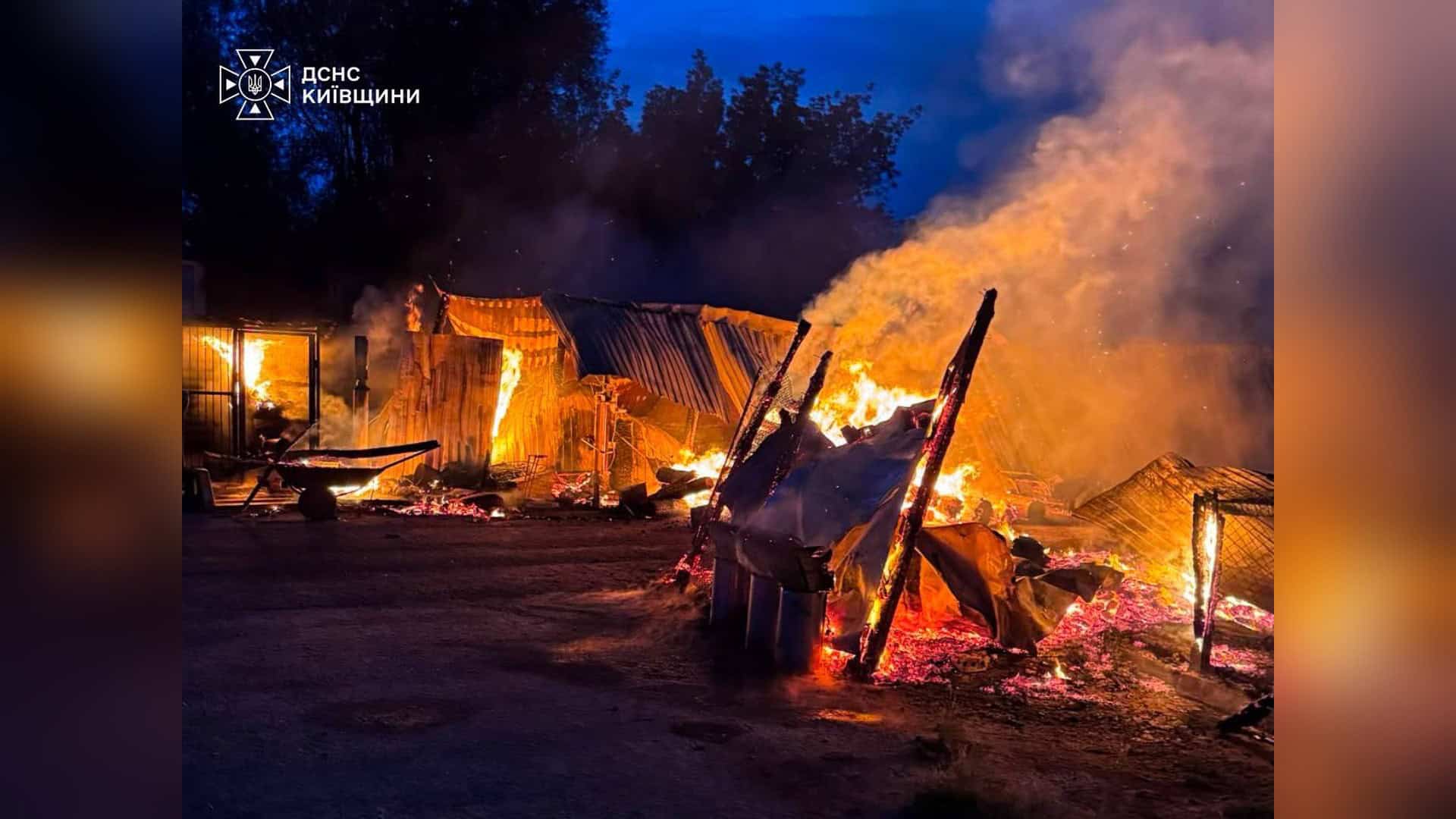 Згарище після пожежі у притулку для тварин «Сіріус» у Федорівці на Київщині — знищено 20 вольєрів на площі 300 кв. м