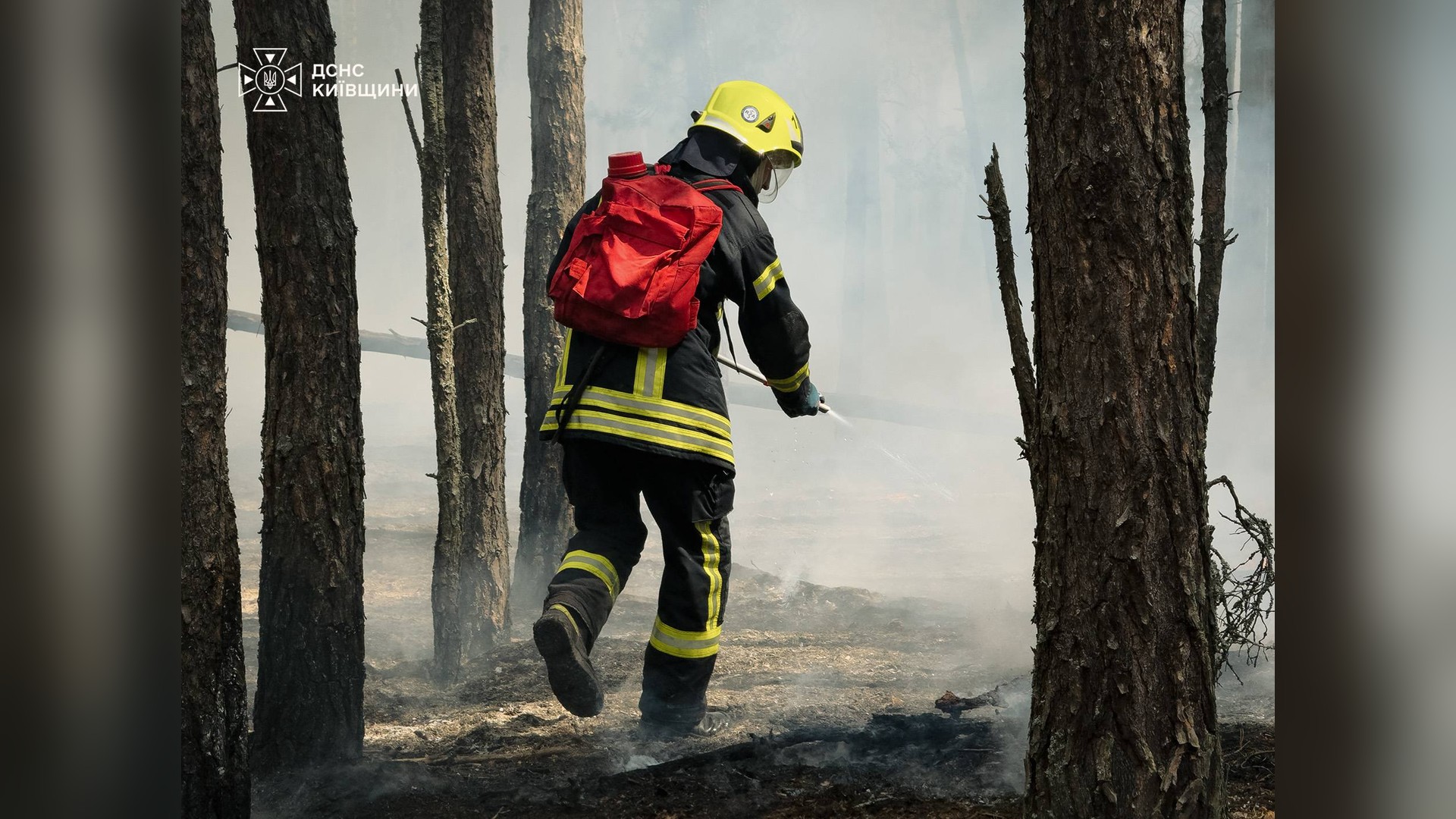 У Бориспільському районі чоловік напав із ножем на перехожого Рятувальники гасять масштабну лісову пожежу в Богданівському лісництві Вишгородського району Київщини