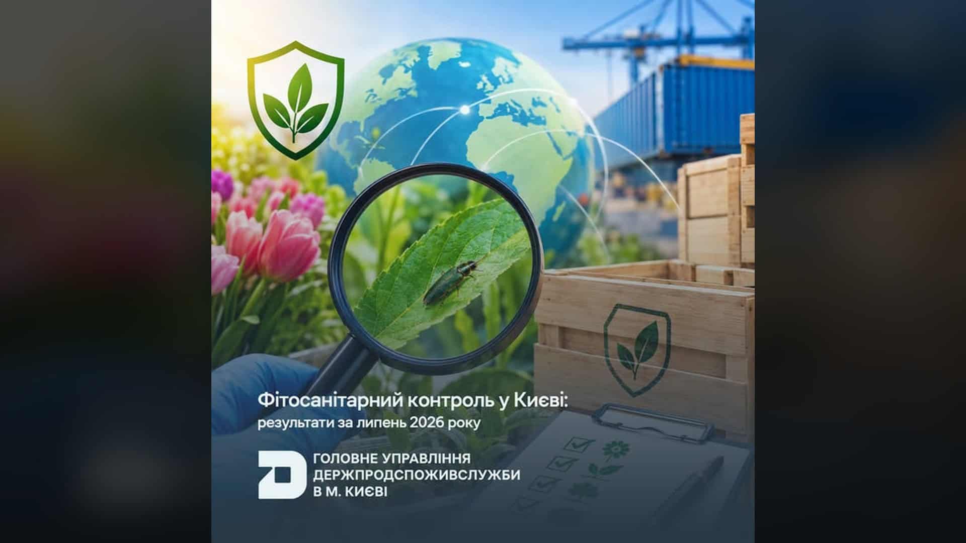 Інфографіка фітосанітарного контролю в Києві за липень 2026 року