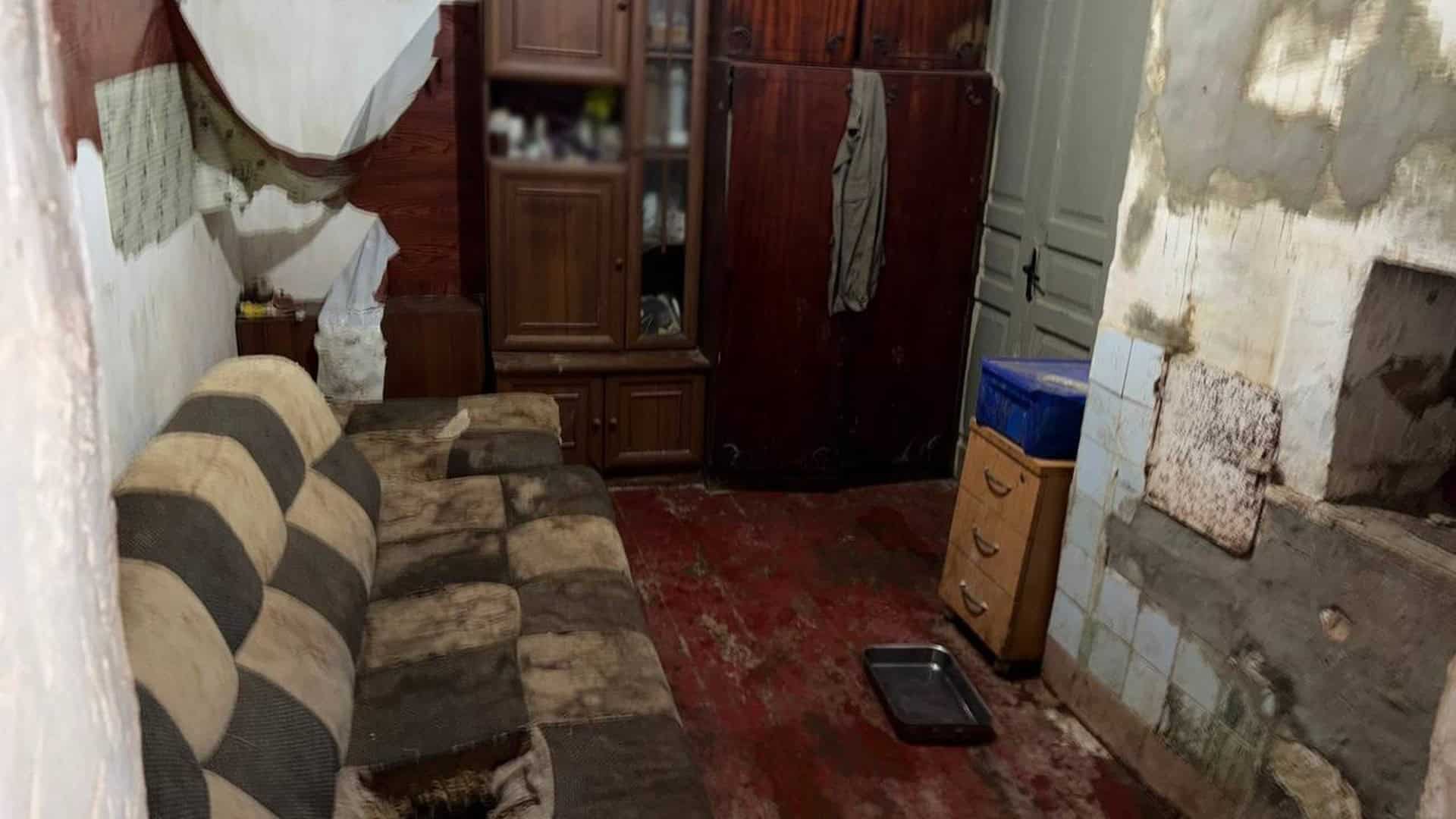 У Києві шахраї продавали орендоване будівельне обладнання через підставних осіб Близько 30 доберманів у розпліднику Солом'янського району Києва утримувались в антисанітарних умовах — поліція відкрила провадження