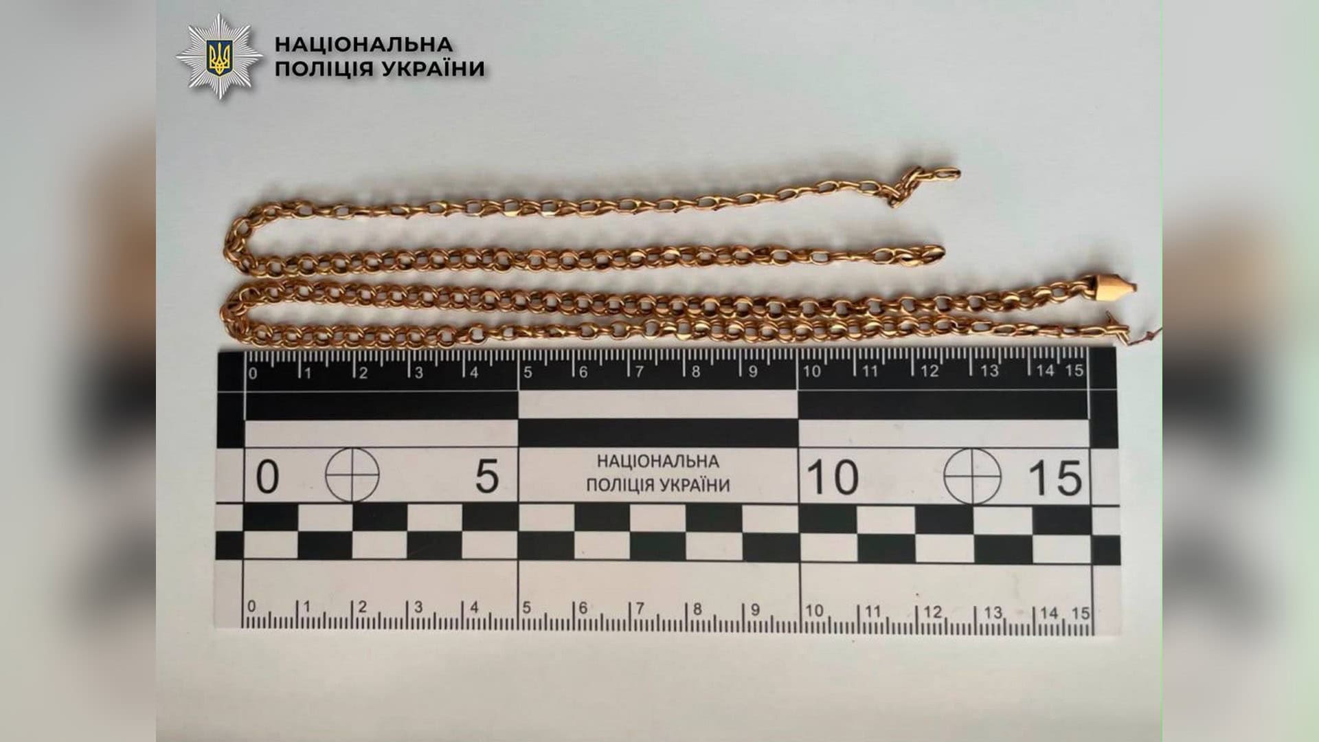 Поліцейські затримали 35-річного чоловіка за пограбування жінки в Дніпровському районі Києва — вкрадений ланцюжок повернули власниці