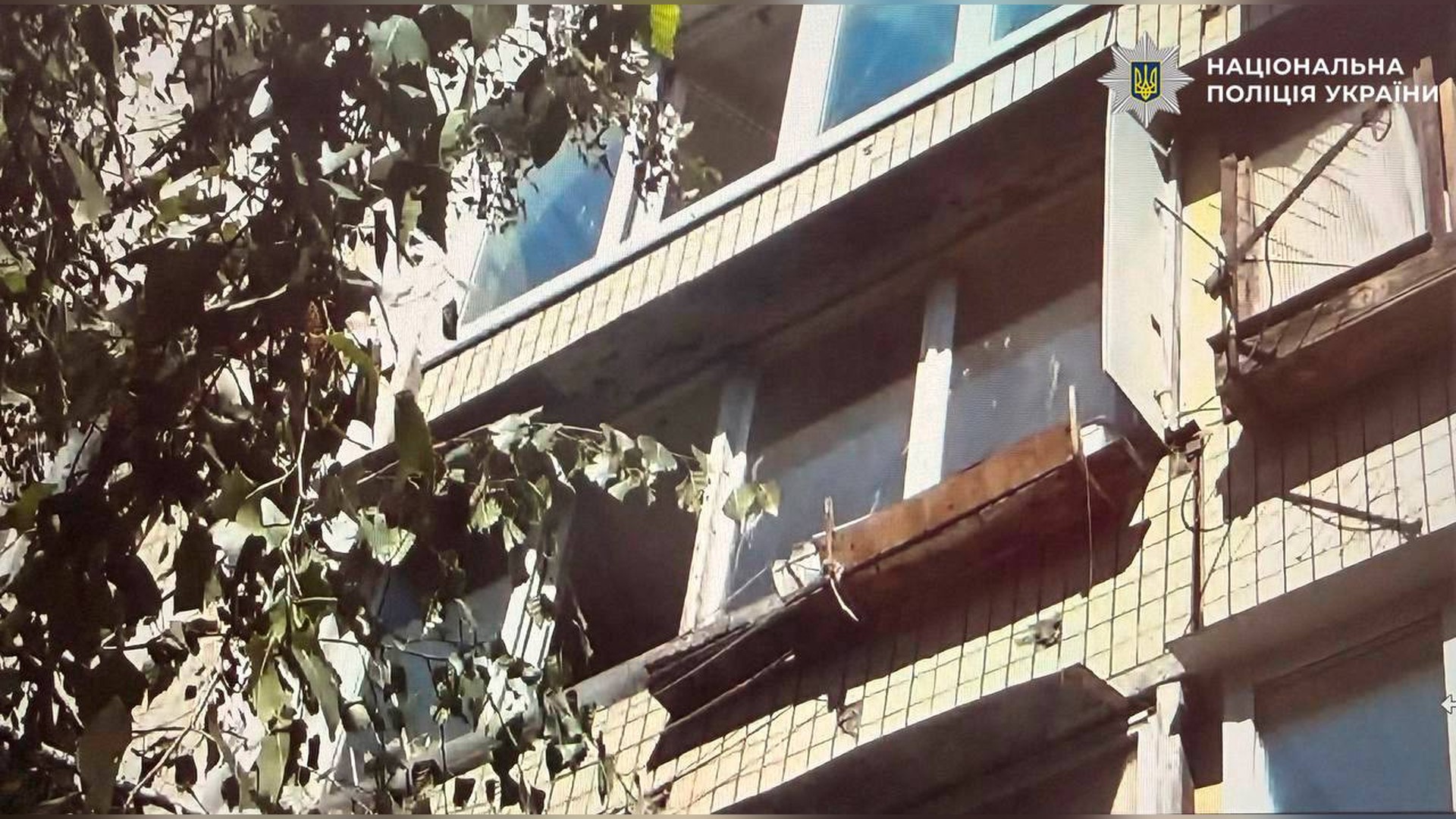 У Києві затримали шахрая, який за 18 000$ обіцяв мобілізацію засудженої Поліцейські на проспекті Свободи у Києві встановлюють обставини загибелі собаки, викинутої з балкона четвертого поверху