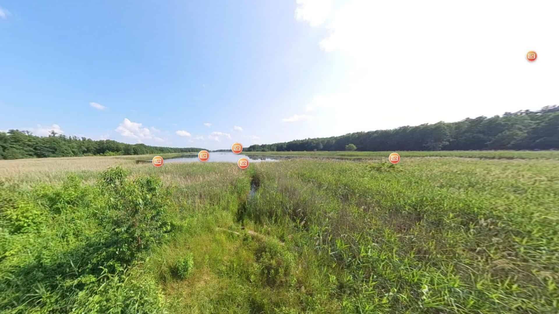 Скріншот інтерактивного туру у форматі VR парком «Голосіївський»: болотиста місцевість із позначками фотолокацій на маршруті