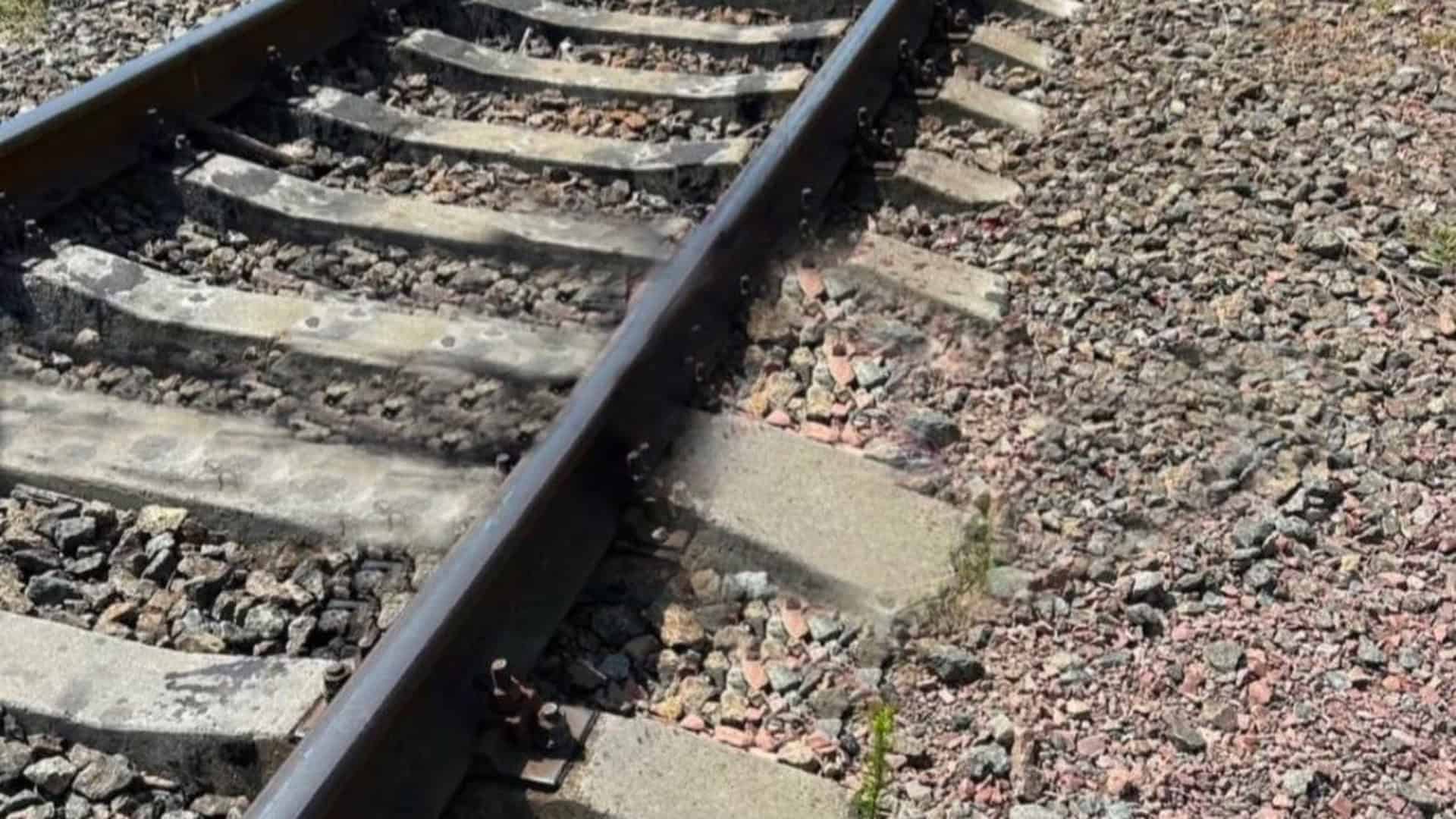 Як Київ втрачає 80 гектарів парків щороку і що може це зупинити Залізничні колії у Борисполі, де електропотяг збив 49-річну жінку, яка загинула на місці події