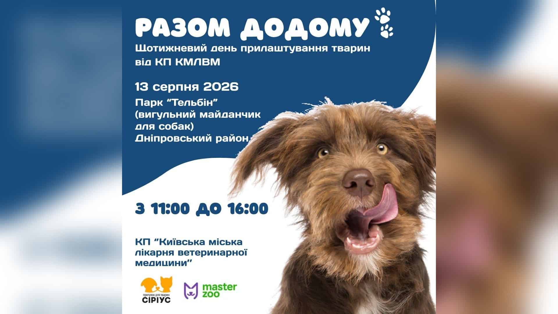 Вигульний майданчик для собак у парку «Тельбін» у Дніпровському районі Києва, День адопції 13 серпня 2026 року