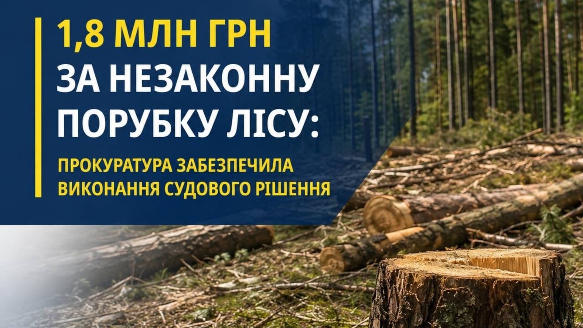 Зрубані дерева в лісовому фонді Київщини — ДП «Ліси України» відшкодувало 1,8 млн грн збитків за порубку 134 дерев