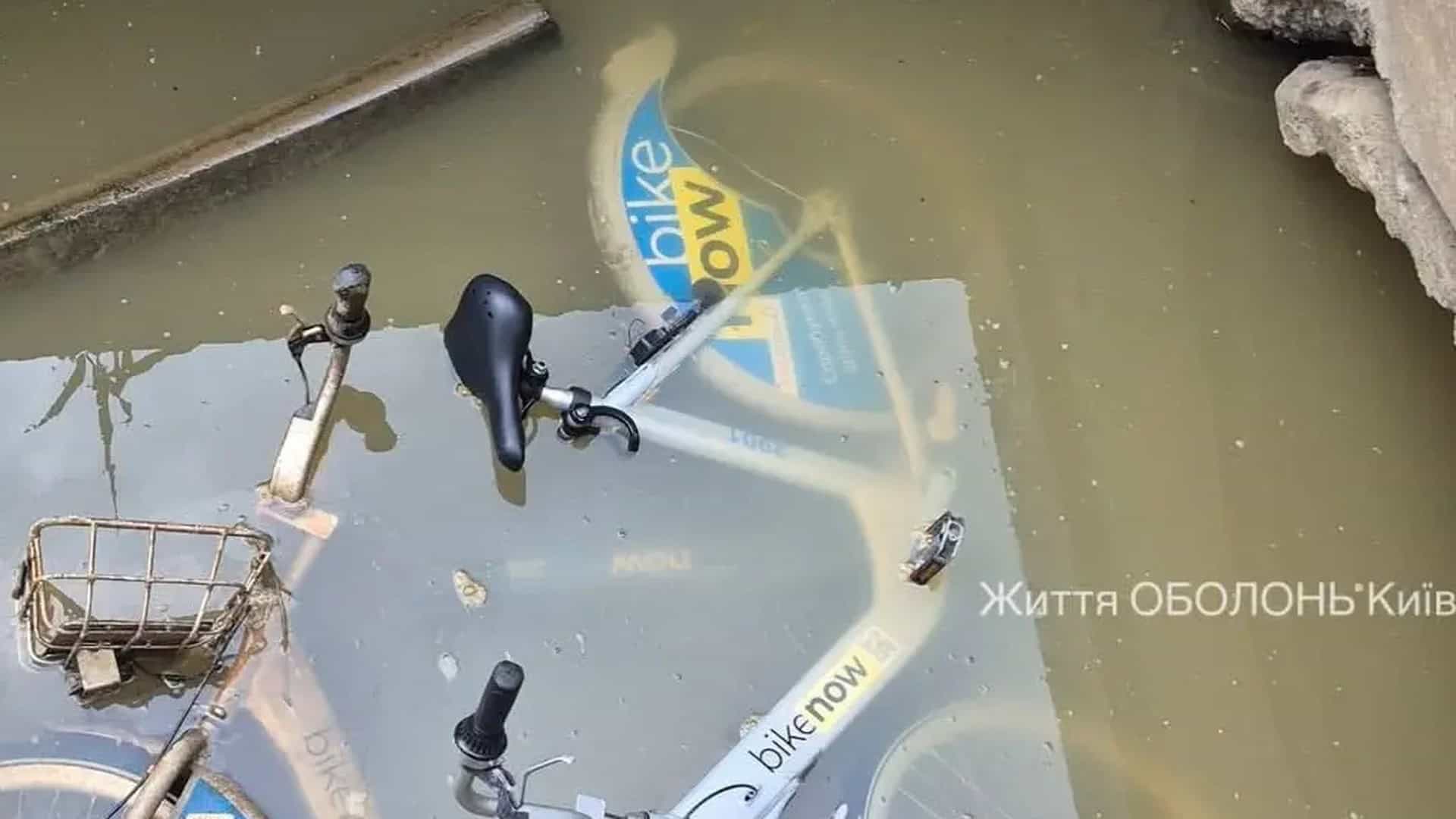 Прокатний велосипед BikeNow, викинутий невідомими в Йорданське озеро на Оболоні в Києві