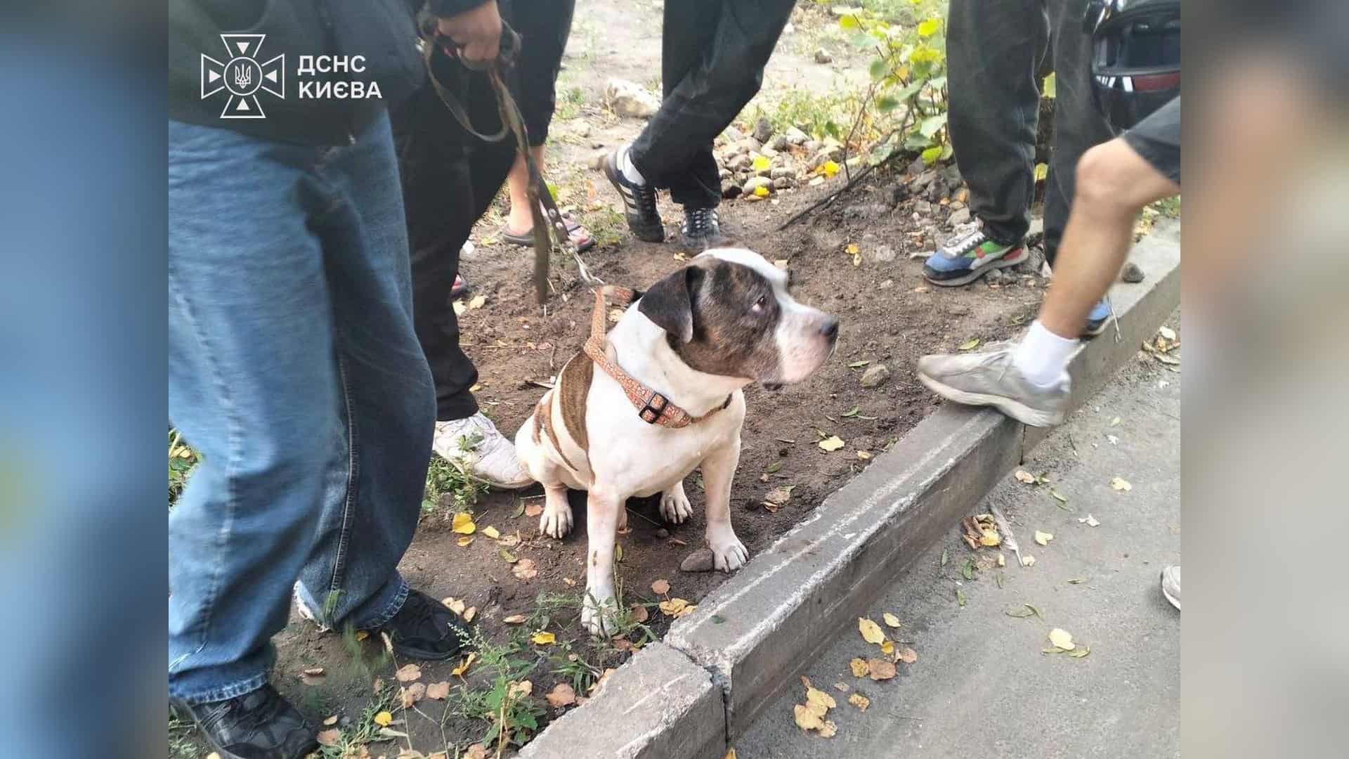 Пожежники гасять квартирну пожежу на вулиці Костянтинівській у Подільському р-ні Києва, площа горіння 5 кв. м