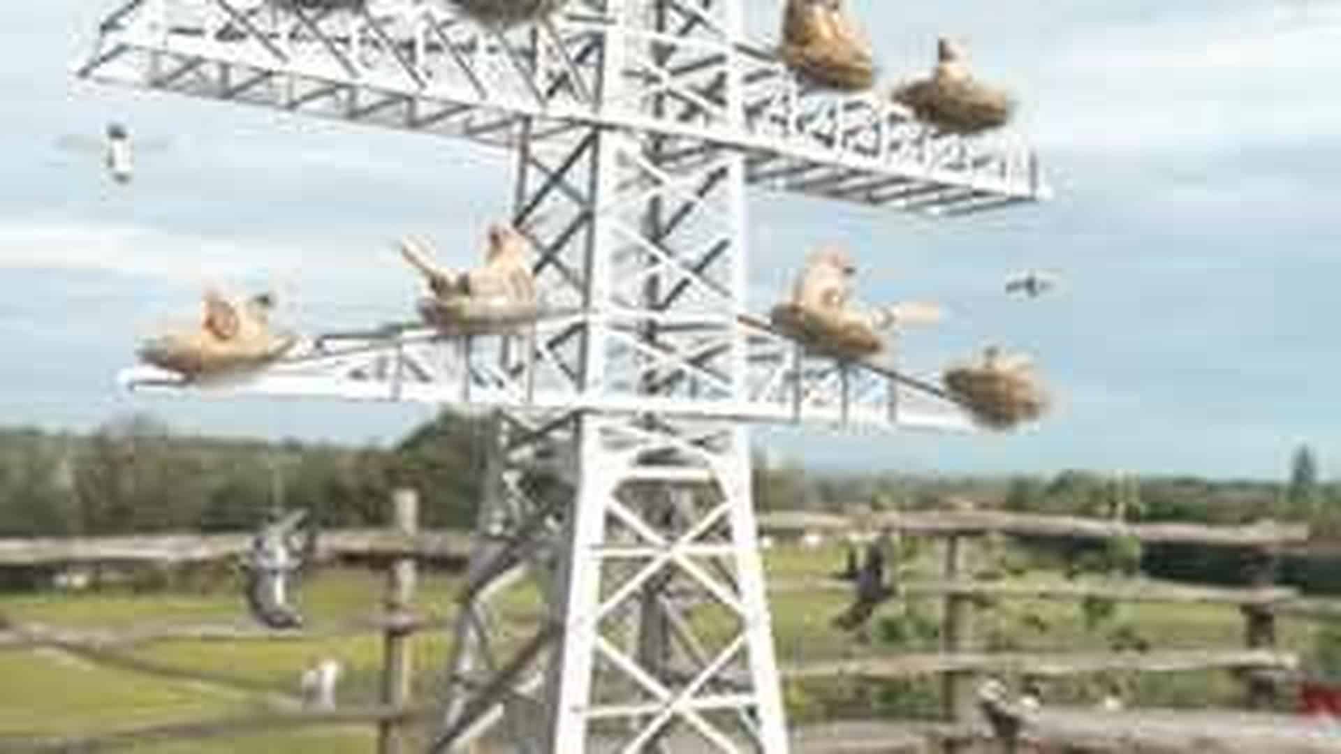 Флігель Олени Згорської на Лук'янівці: знесений заради ЖК Художня інсталяція «Дерево життя» з триметрової опори ЛЕП та 22 глиняних птахів на фестивалі ЕнеїдаФест у Києві