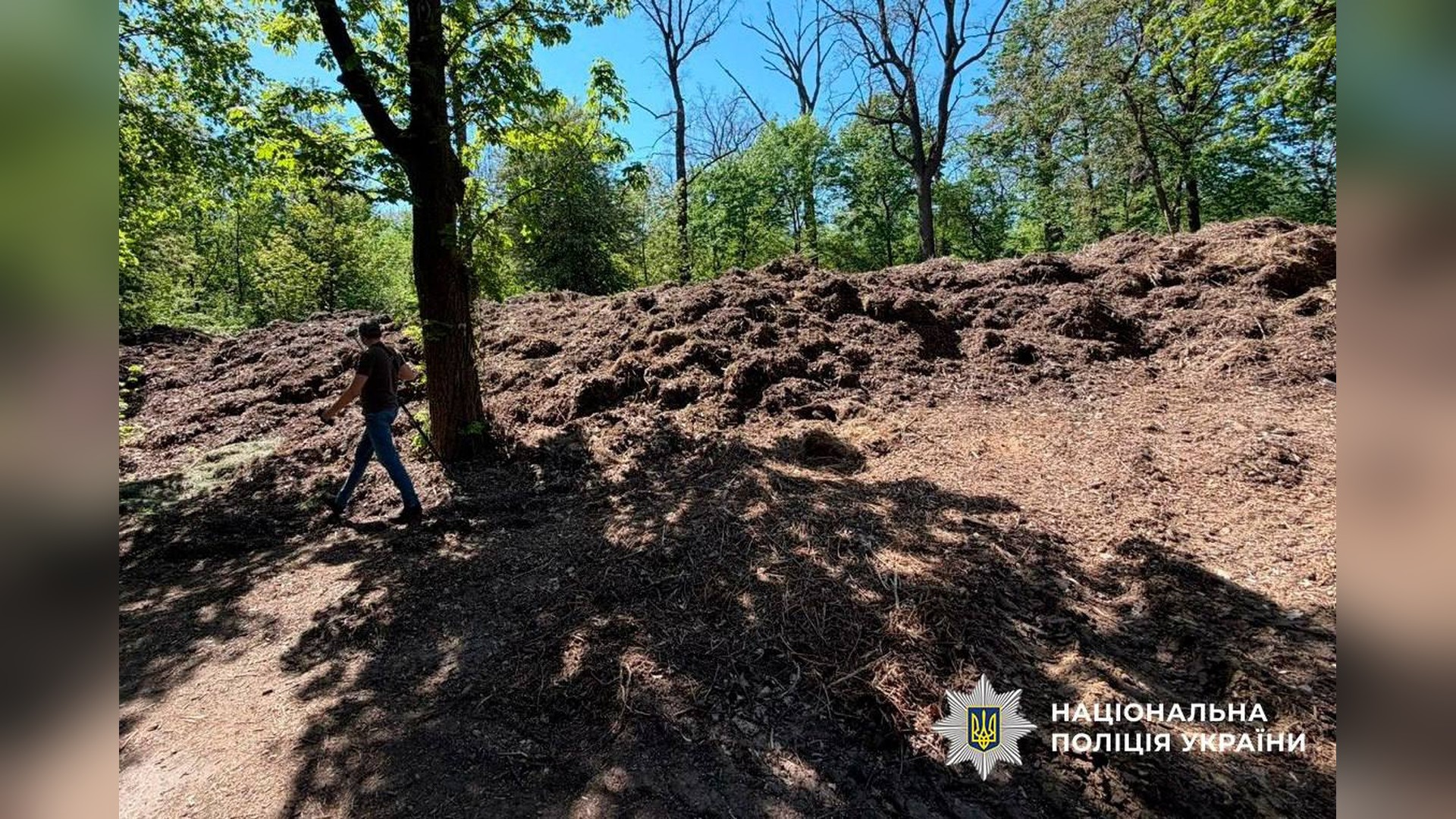 Суд виніс вирок поліцейському, який відмовився свідчити у НАБУ Поліція Києва повідомила про підозру посадовиці Подільської РДА через завищену ціну на вивезення листя — збитки перевищили 700 тис. грн