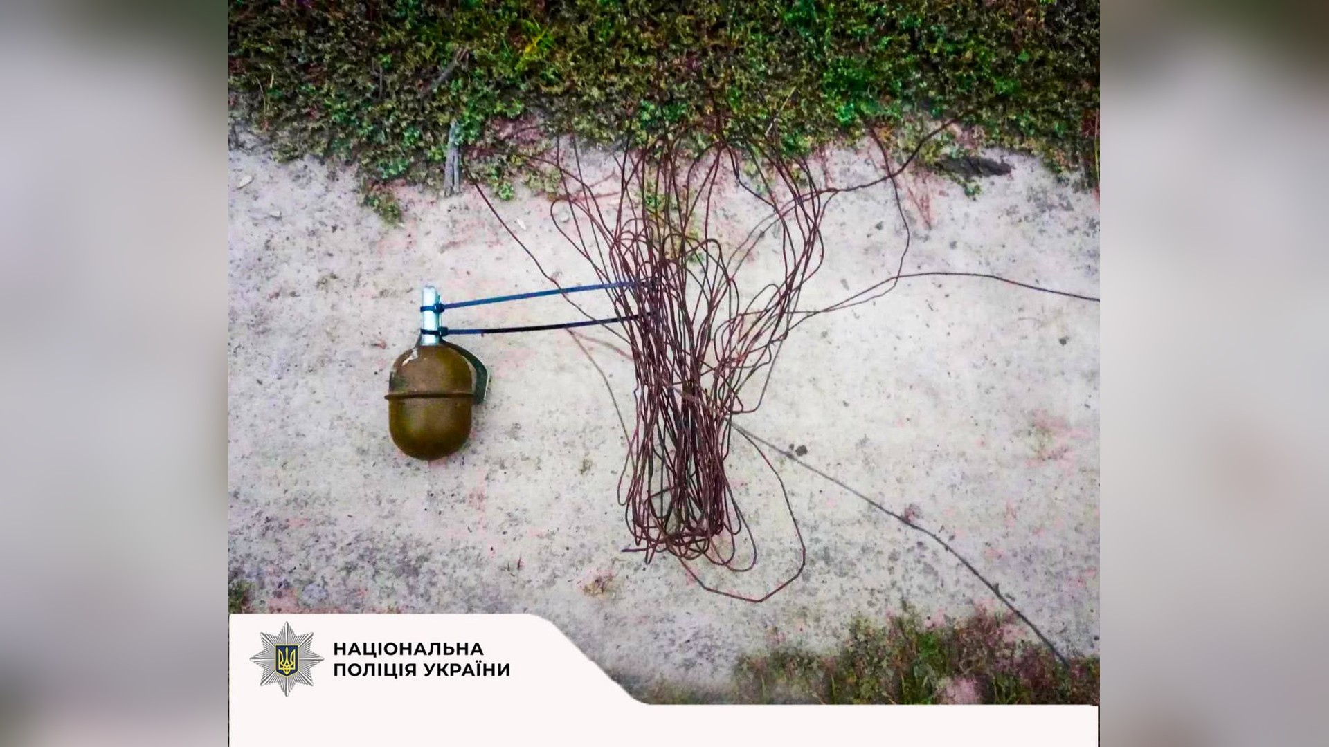 КМДА: у Києві можливе задимлення через пожежі на Київщині Вибухотехніки поліції Київської області знищили гранату РГД-5, знайдену у лісі біля села Мотижин у Бучанському р-ні