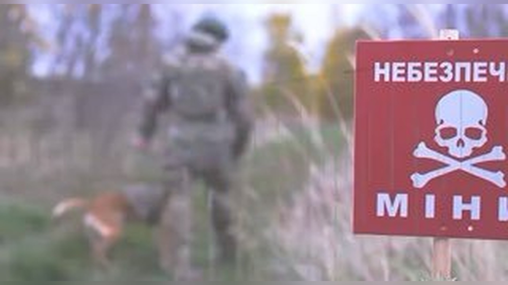 Смертельна ДТП на Київщині: п’яний водій вилетів на зустрічну смугу Поліцейські Київщини повідомили про підозру завідувачу кафедри, який пропонував відстрочку від призову за 8 000 доларів