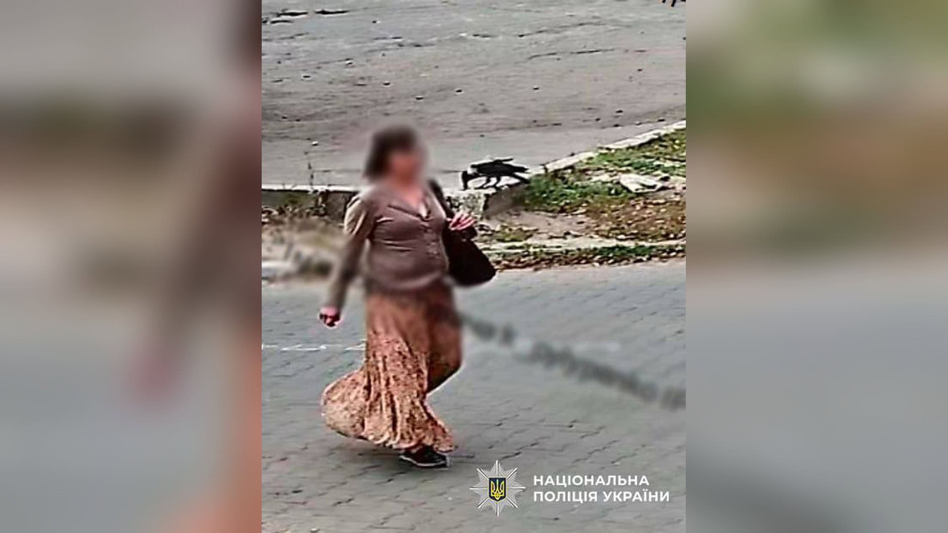 У Дніпровському р-ні затримали підозрюваного у пограбуванні жінки біля під’їзду Підозрювана у пограбуванні 9-річної дівчинки у Деснянському р-ні Києва йде вулицею, кадр поліції