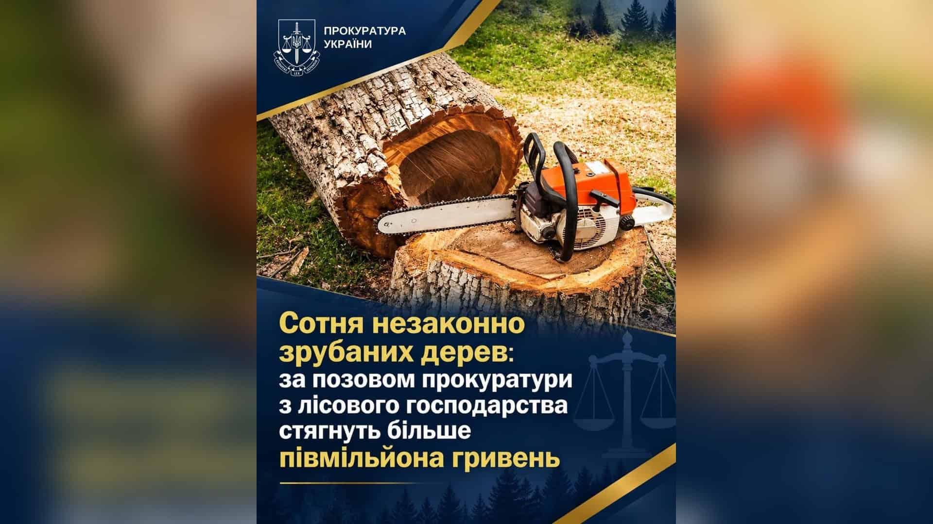 Водій Hyundai з’їхав у кювет і врізався в дерево на Обухівщині Зрубані дерева у лісництві Фастівського району — суд стягнув 558 тисяч гривень за незаконну порубку