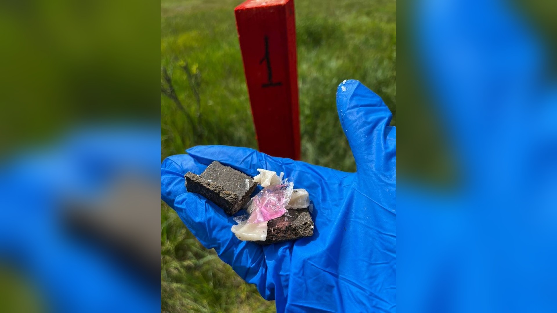 Дикі тварини у Чорнобильському заповіднику під час осінньої кампанії з імунізації від сказу