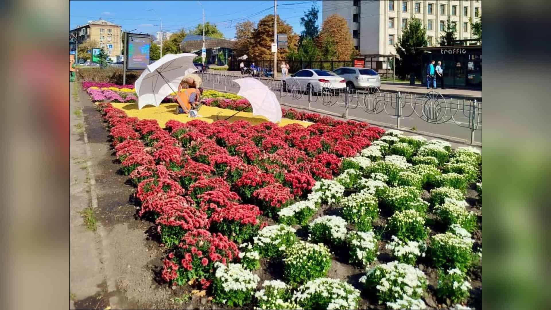 В Оболонському р-ні меблі й техніка захаращують двори через відписки служб Хризантеми у клумбах і підвісних вазах на вулицях Києва під час осіннього сезону озеленення