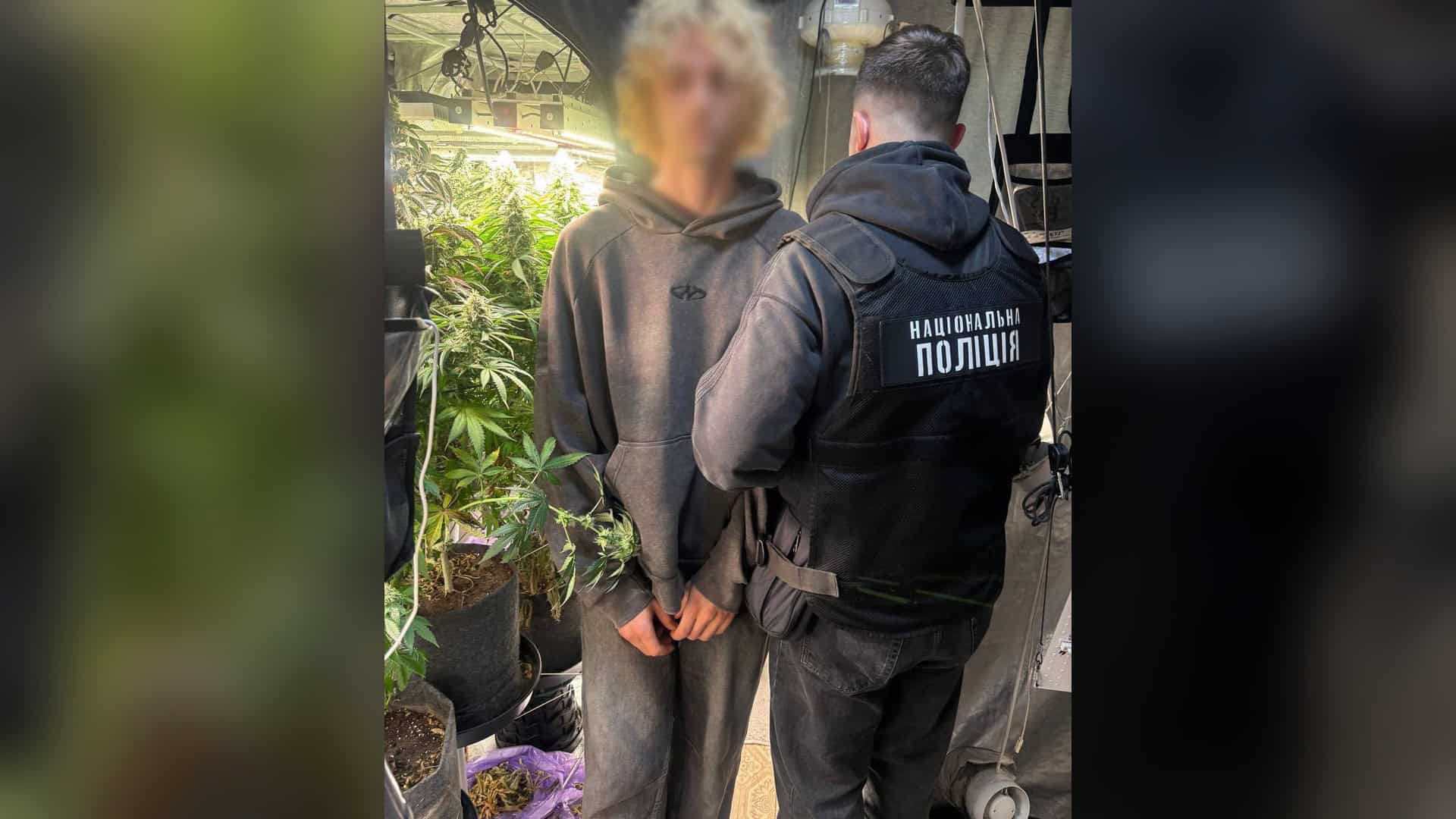Поліцейський поруч із затриманим 34-річним киянином серед кущів канабісу в гроубоксі у квартирі в Києві