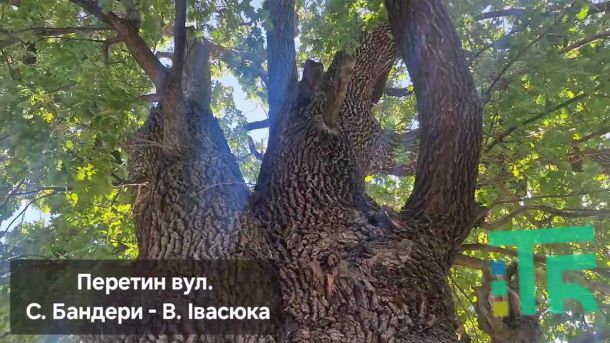 Печерськ: 21 серпня обмежать рух на Бойчука через укладання асфальту Печерськ: 21 серпня обмежать рух на Бойчука через укладання асфальту