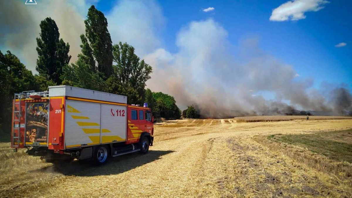 Рятувальники ліквідують пожежу на полі жита поблизу автошляху Березань — Баришівка на Київщині, площа вогню 1 га