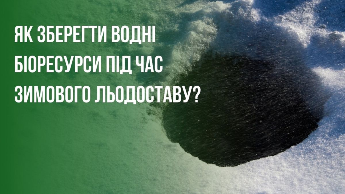 Крига і ополонка