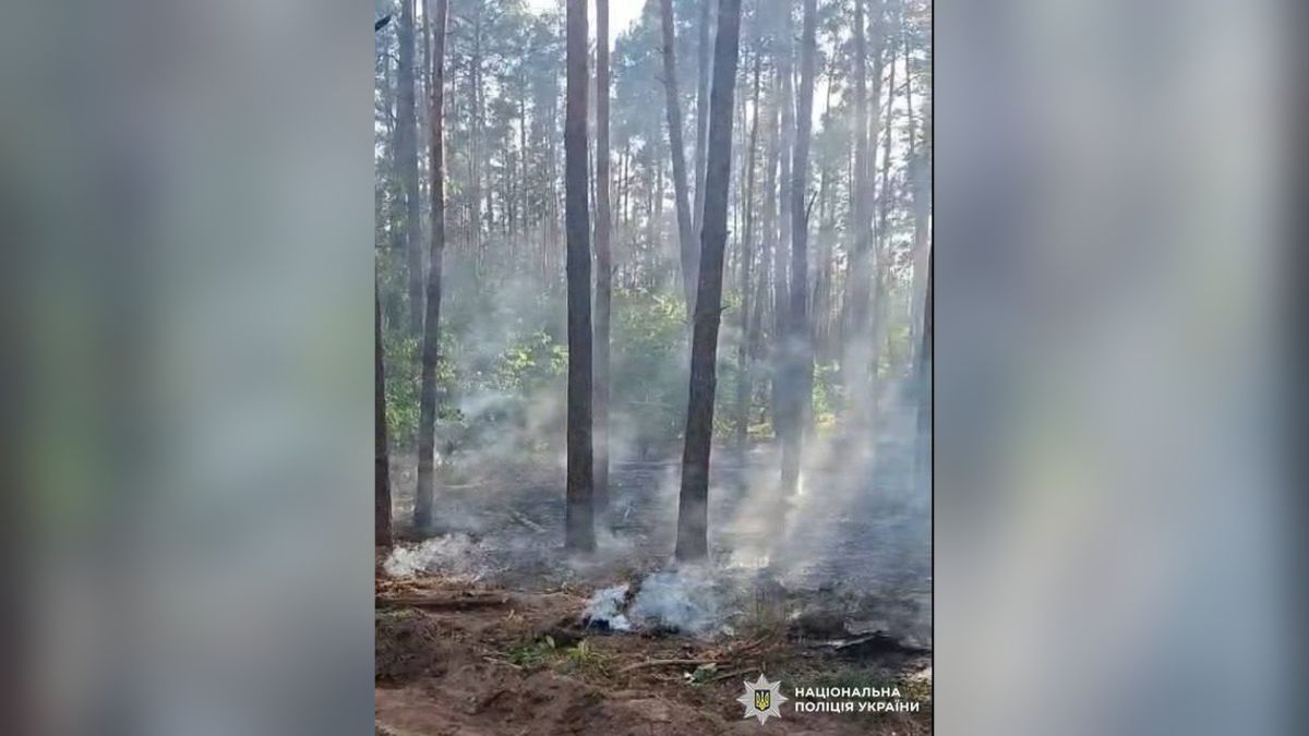 У лісопарку Голосіївського району збили «Герань-4» — виникло займання Вибухотехніки поліції збирають уламки дрона «Герань-4» у лісопарковій зоні Голосіївського району Києва після ворожої атаки