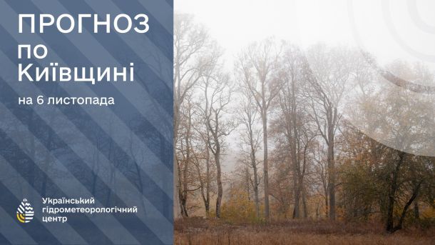 Київ 11 листопада: помірні дощі та +8...+10° Осінні дерева стоять без листя в лісі