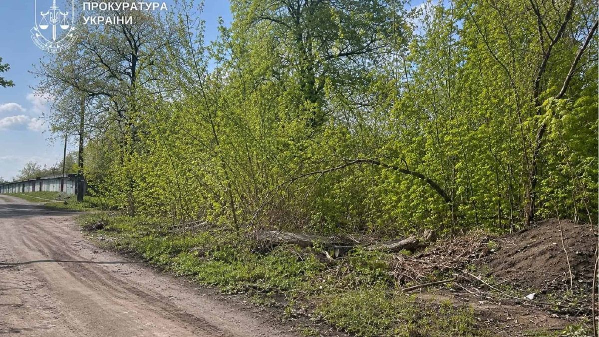 Прокуратура відбила землю на Медовій вартістю 14 млн грн