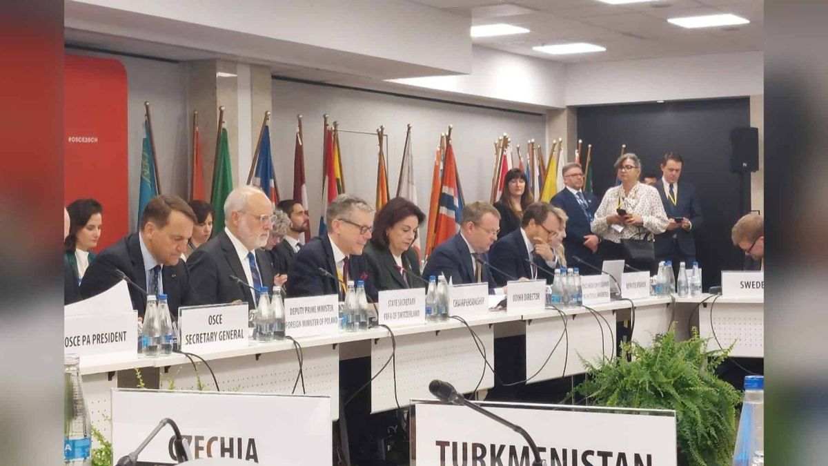 Радниця Фундації Пилипа Орлика Юлія Мізюкіна виступає на Варшавській конференції ОБСЄ з доповіддю про ініціативу UnRussiaUN