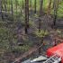 Пожежа в Ірпені: майже гектар лісу, підозрюють підпал