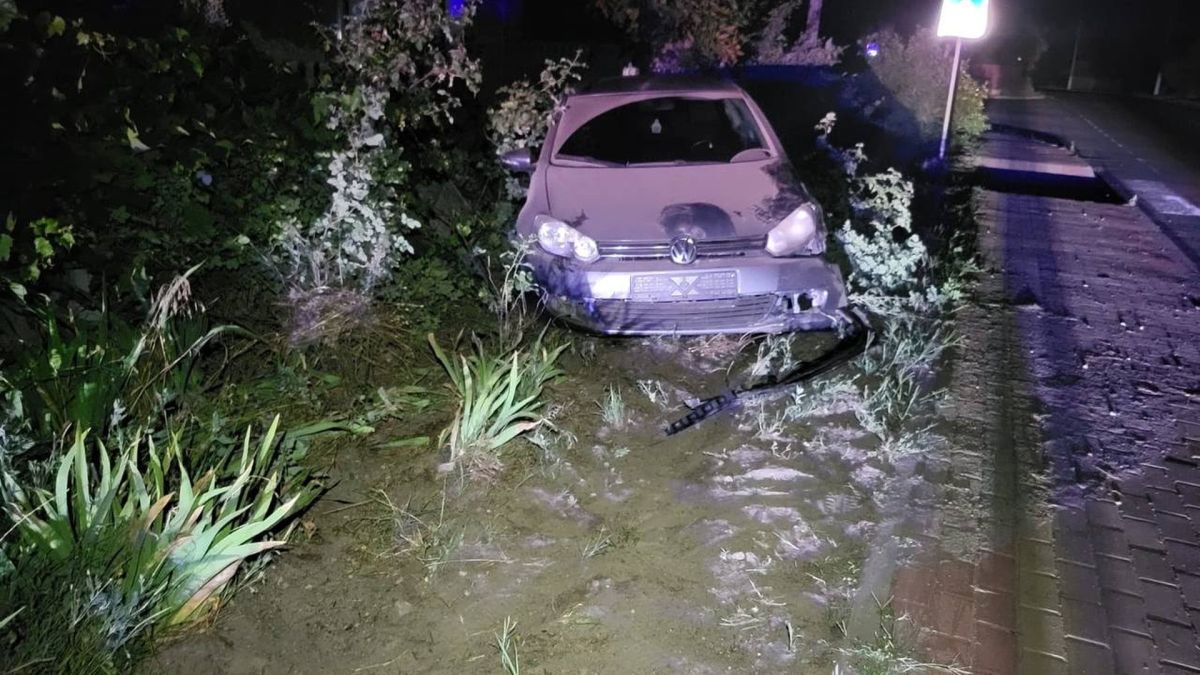 П'яний водій у Демидові збив пішохода та в'їхав у паркан Поліцейські Вишгородського району затримали 30-річного водія, який у нетверезому стані збив пішохода у Демидові — 1,63 проміле алкоголю