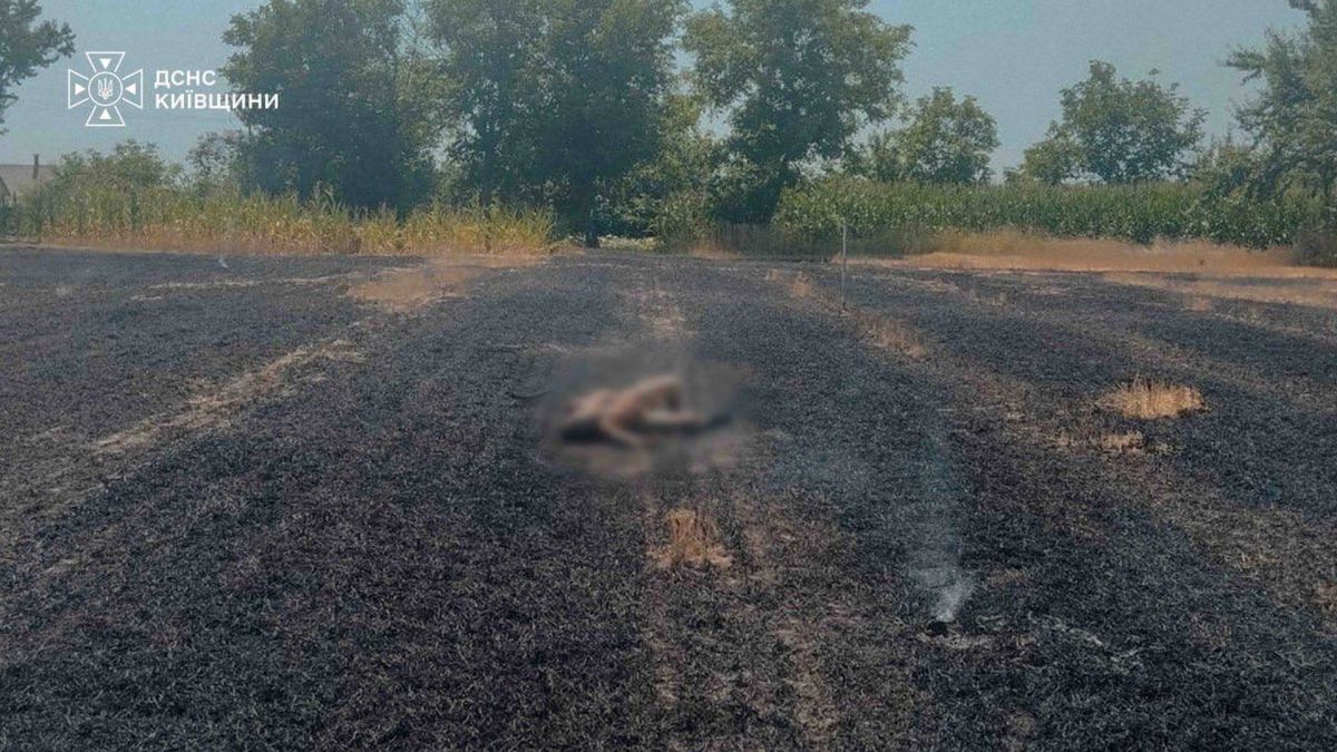 На пожежі стерні в Мазепинцях загинула людина Рятувальники гасять пожежу стерні на приватному подвір'ї у селі Мазепинці Білоцерківського району — одна людина загинула