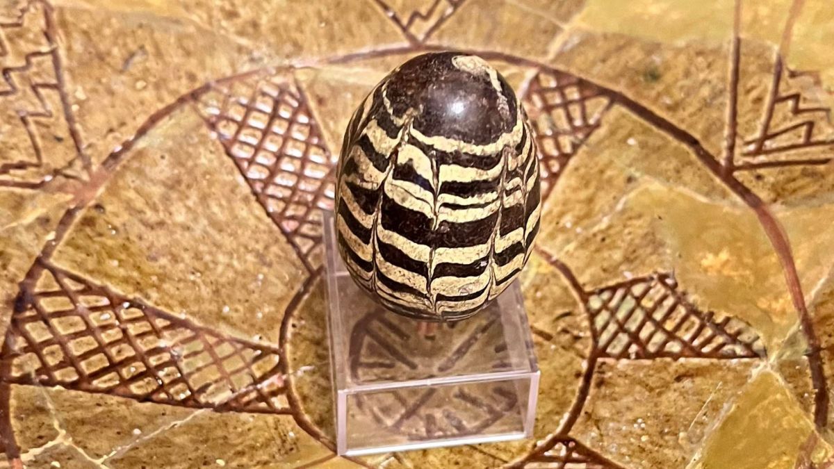 Стародавня писанка-брязкальце XI–XIII століття з чорним орнаментом на прозорій підставці у фондосховищі Національного заповідника Софія Київська