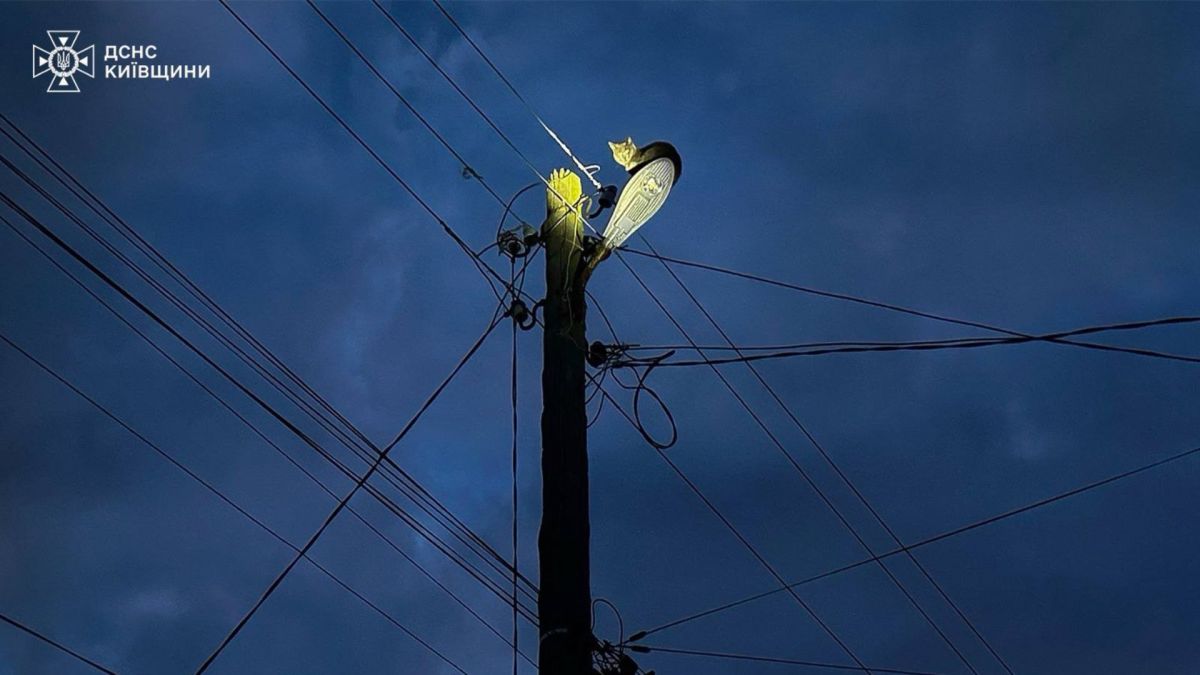 Рятувальник ДСНС з набором верхолаза піднімається до кота, якого знімають зі стовпа у Яготині на Київщині
