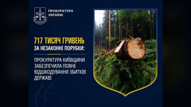 Інфографіка прокуратури України: 717 тисяч гривень стягнуто за незаконні порубки лісу на Київщині — повне відшкодування збитків державі