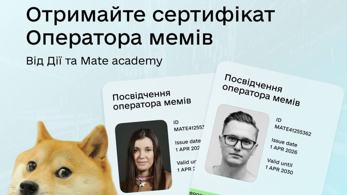 Посвідчення оператора мемів від Дії та Mate academy у стилі водійського посвідчення