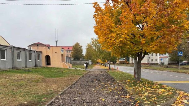 Жовті дерева на тлі тротуару, який в стані будівництва