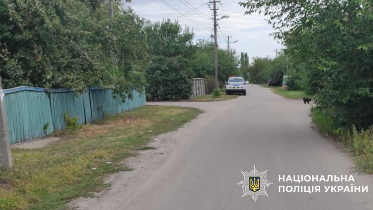 Київщина: поліція затримала водія Ford, який після ДТП із пенсіонеркою втік додому Сільська вулиця з поліцейським авто, дерев’яними парканами та зеленими деревами обабіч дороги