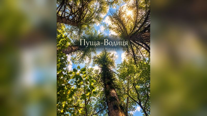 Головні новини Києва | Kyiv.News Ботанічна пам'ятка «Колекція лісовода Вінтера» з модринами сибірськими у Пуща-Водицькому лісництві Оболонського р-ну