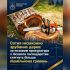 Головні новини Києва | Kyiv.News Зрубані дерева у лісництві Фастівського району — суд стягнув 558 тисяч гривень за незаконну порубку