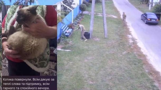 Жінка тримає на руках пухнастого сіамського кота, поруч кадр із камери спостереження