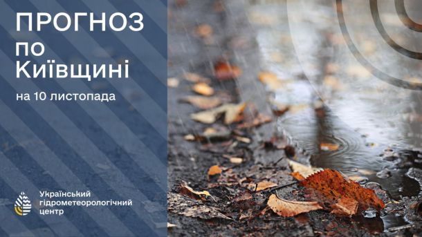 Київ 11 листопада: помірні дощі та +8...+10° Погода дощова, листя в калюжі