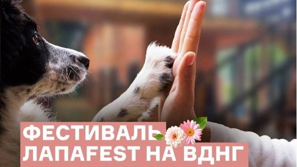 Афіша фестивалю