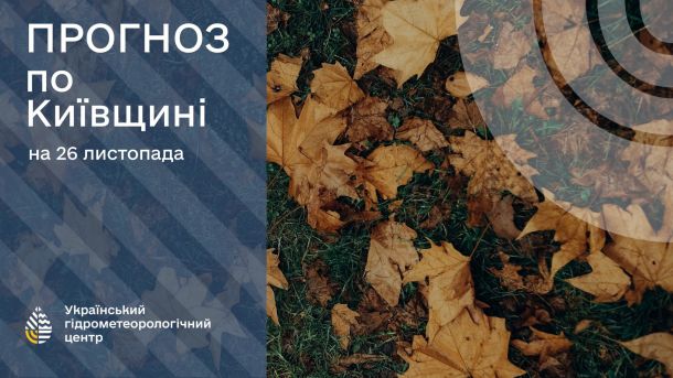 29 листопада: у Києві туман і до 9° тепла Жовте листя на землі