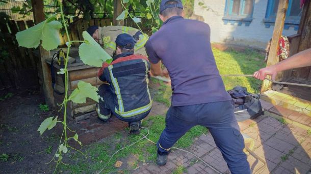 Терапевтичний сад на ВДНГ увійшов до топ-25 громадських просторів Європи Рятувальники 32-ї ДПРЧ Макарова підіймають тіло 80-річного чоловіка з криниці у селі Юрів Бучанського району